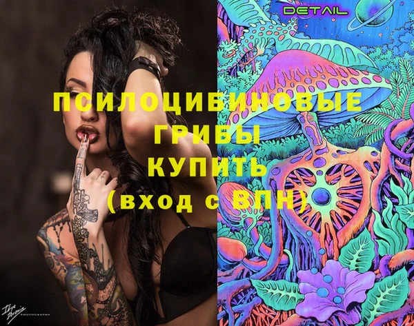 трава Каменка