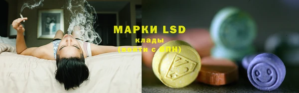 ГАЛЛЮЦИНОГЕННЫЕ ГРИБЫ Каменск-Шахтинский