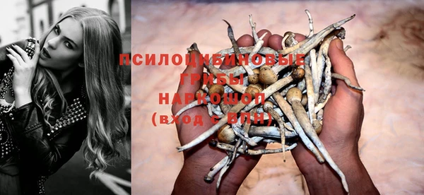 ГАЛЛЮЦИНОГЕННЫЕ ГРИБЫ Каменск-Шахтинский
