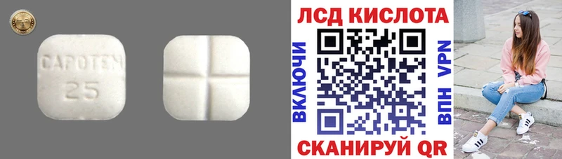 Купить где  Могоча  Лсд 25 экстази кислота 