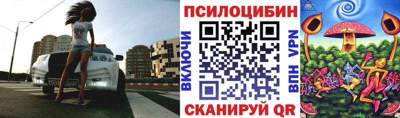 Псилоцибиновые грибы прущие грибы  Купить где  Могоча 